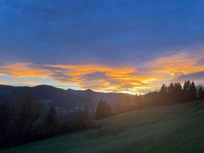 Haus kaufen in 6363 Westendorf (Bild 5)