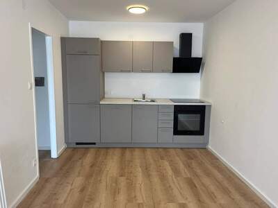 Wohnung provisionsfrei mieten in 1100 Wien