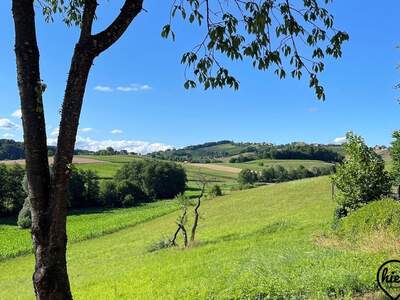 Haus kaufen in 8505 Sankt Nikolai