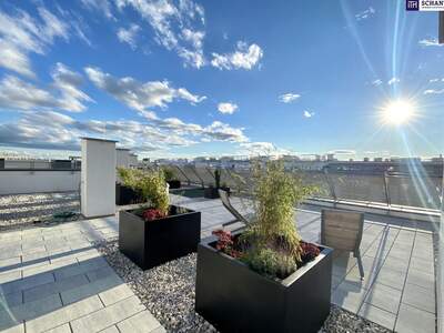 Mietwohnung in 2320 Schwechat (Bild 4)