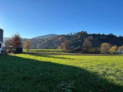 Grundstück provisionsfrei kaufen in 6361 Hopfgarten