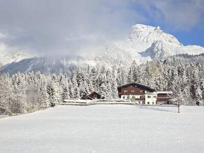 Haus kaufen in 8972 Ramsau