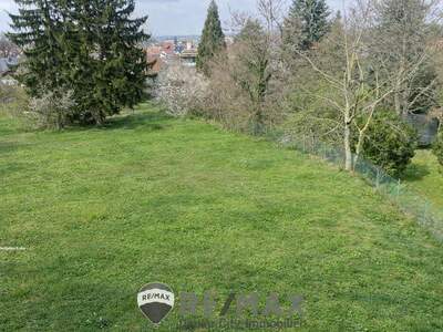 Grundstück kaufen in 3433 Königstetten (Bild 3)