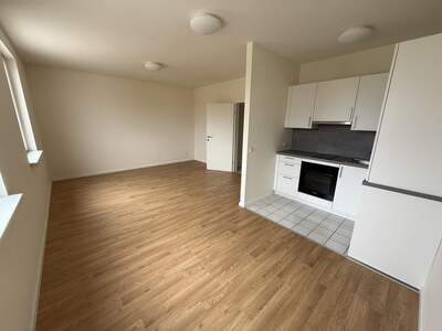 Wohnung mieten in 2544 Leobersdorf (Bild 3)