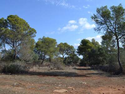 Immobilie kaufen in 7620 Llucmajor (Bild 5)