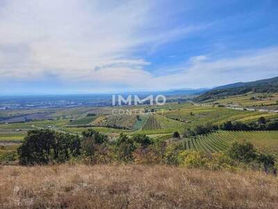 Grundstück kaufen in 2352 Gumpoldskirchen