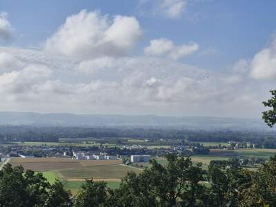 Grundstück kaufen in 4020 Linz (Bild 2)