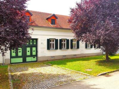 Haus kaufen in 7474 Eisenberg