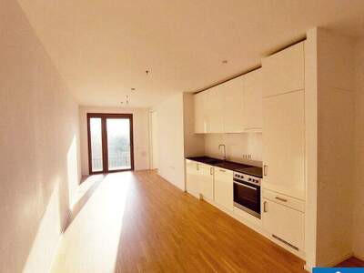 Terrassenwohnung mieten in 1100 Wien (Bild 1)