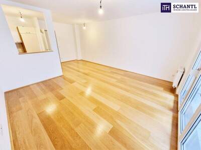 Terrassenwohnung kaufen in 1160 Wien (Bild 2)