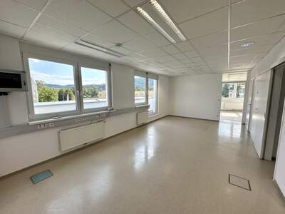 Gewerbeobjekt mieten in 8054 Graz (Bild 3)