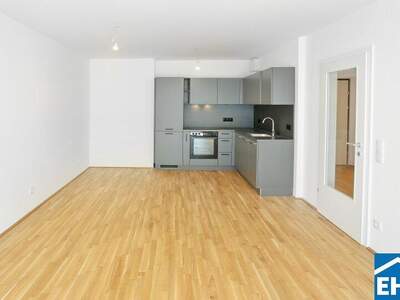 Terrassenwohnung mieten in 1220 Wien (Bild 1)