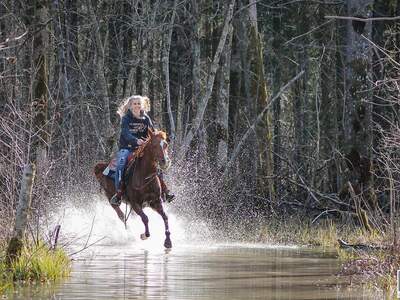 Gewerbeobjekt kaufen in 5224 Auerbach