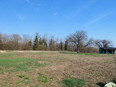 Grundstück kaufen in 7091 Breitenbrunn