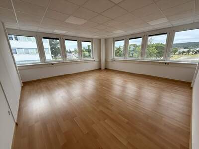 Büro / Praxis mieten in 2544 Leobersdorf (Bild 5)