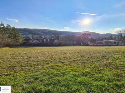 Grundstück kaufen in 2393 Sparbach (Bild 2)