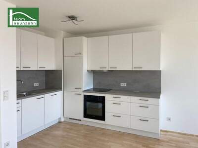 Terrassenwohnung mieten in 1100 Wien (Bild 4)