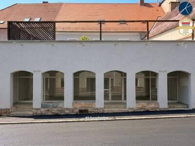 Gewerbeobjekt mieten in 3500 Krems (Bild 5)