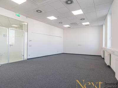 Gewerbeobjekt mieten in 4050 Traun (Bild 3)