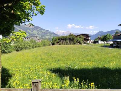 Grundstück provisionsfrei mieten in 6271 Finsing