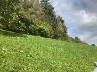 Gewerbeobjekt kaufen in 6471 Arzl (Bild 5)