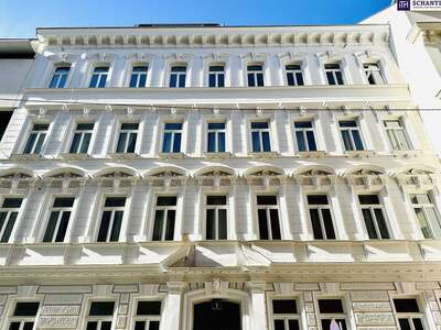 Altbauwohnung kaufen in 1080 Wien (Bild 2)