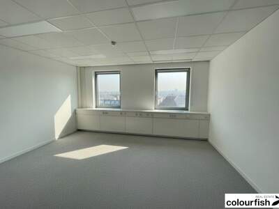 Gewerbeobjekt mieten in 1060 Wien (Bild 4)
