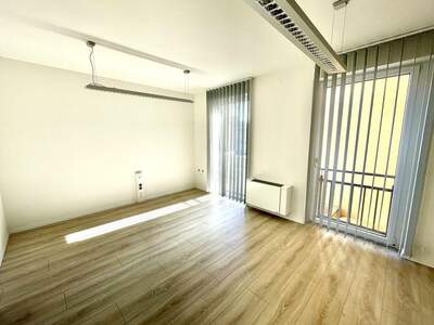 Gewerbeobjekt mieten in 7100 Neusiedl (Bild 2)