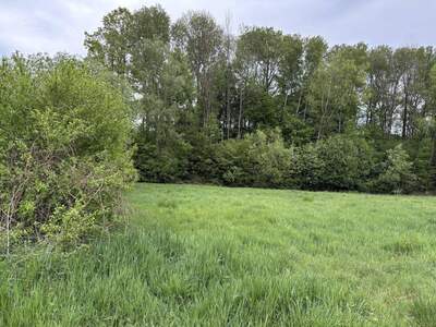 Gewerbeobjekt kaufen in 7425 Wiesfleck