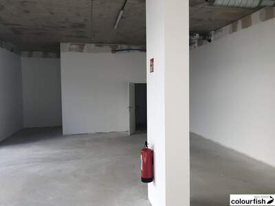 Gewerbeobjekt mieten in 2344 Maria Enzersdorf (Bild 3)