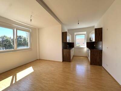 Wohnung mit Balkon mieten in 8055 Graz (Bild 2)