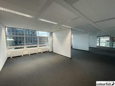 Gewerbeobjekt mieten in 1220 Wien (Bild 3)