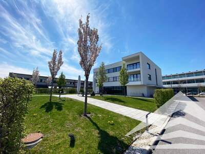 Gewerbeobjekt mieten in 1220 Wien