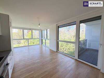 Terrassenwohnung kaufen in 1220 Wien (Bild 1)