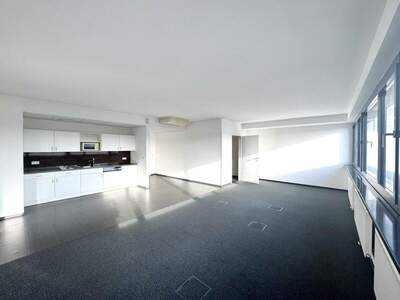 Bürogebäude mieten in 1190 Wien (Bild 5)