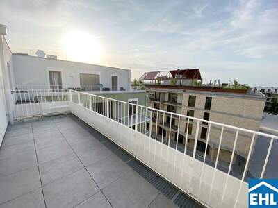 Terrassenwohnung mieten in 3451 Michelhausen (Bild 4)