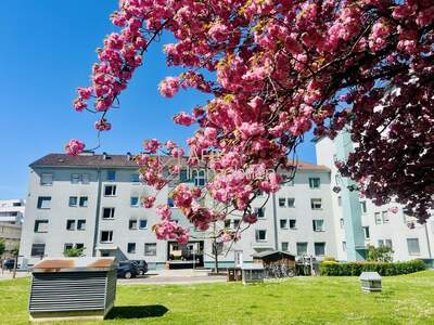 Housing Association provisionsfrei mieten in 8010 Steiermark