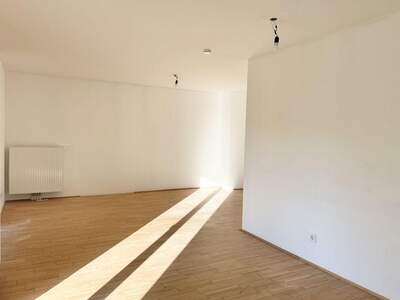 Wohnung kaufen in 1230 Wien (Bild 3)