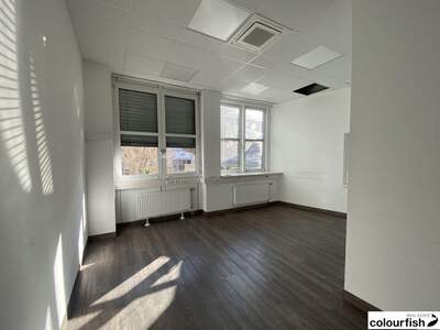 Gewerbeobjekt mieten in 2320 Schwechat (Bild 3)