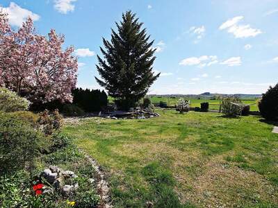 Haus kaufen in 7321 Lackendorf (Bild 4)