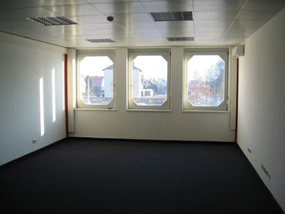 Gewerbeobjekt kaufen in 8724 Spielberg (Bild 4)