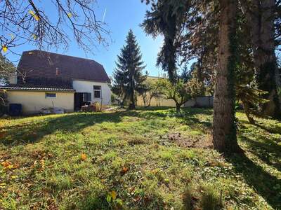 Grundstück kaufen in 1220 Wien (Bild 4)