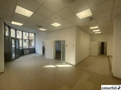 Gewerbeobjekt mieten in 1030 Wien (Bild 4)