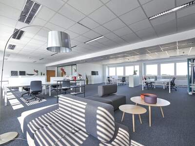 Gewerbeobjekt mieten in 1230 Wien (Bild 3)