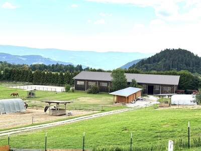 Gewerbeobjekt kaufen in 9100 Völkermarkt
