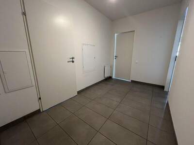 Terrassenwohnung mieten in 2104 Spillern (Bild 2)