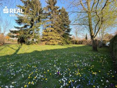 Grundstück kaufen in 7201 Neudörfl (Bild 5)