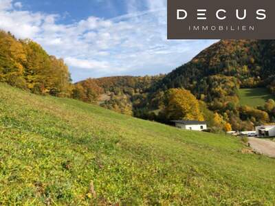 Grundstück kaufen in 3211 Loich (Bild 3)