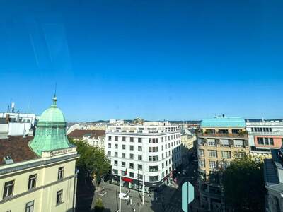 Gewerbeobjekt mieten in 1060 Wien (Bild 5)