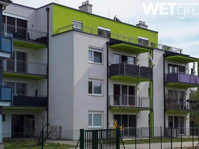 Wohnung mieten in 2492 Eggendorf